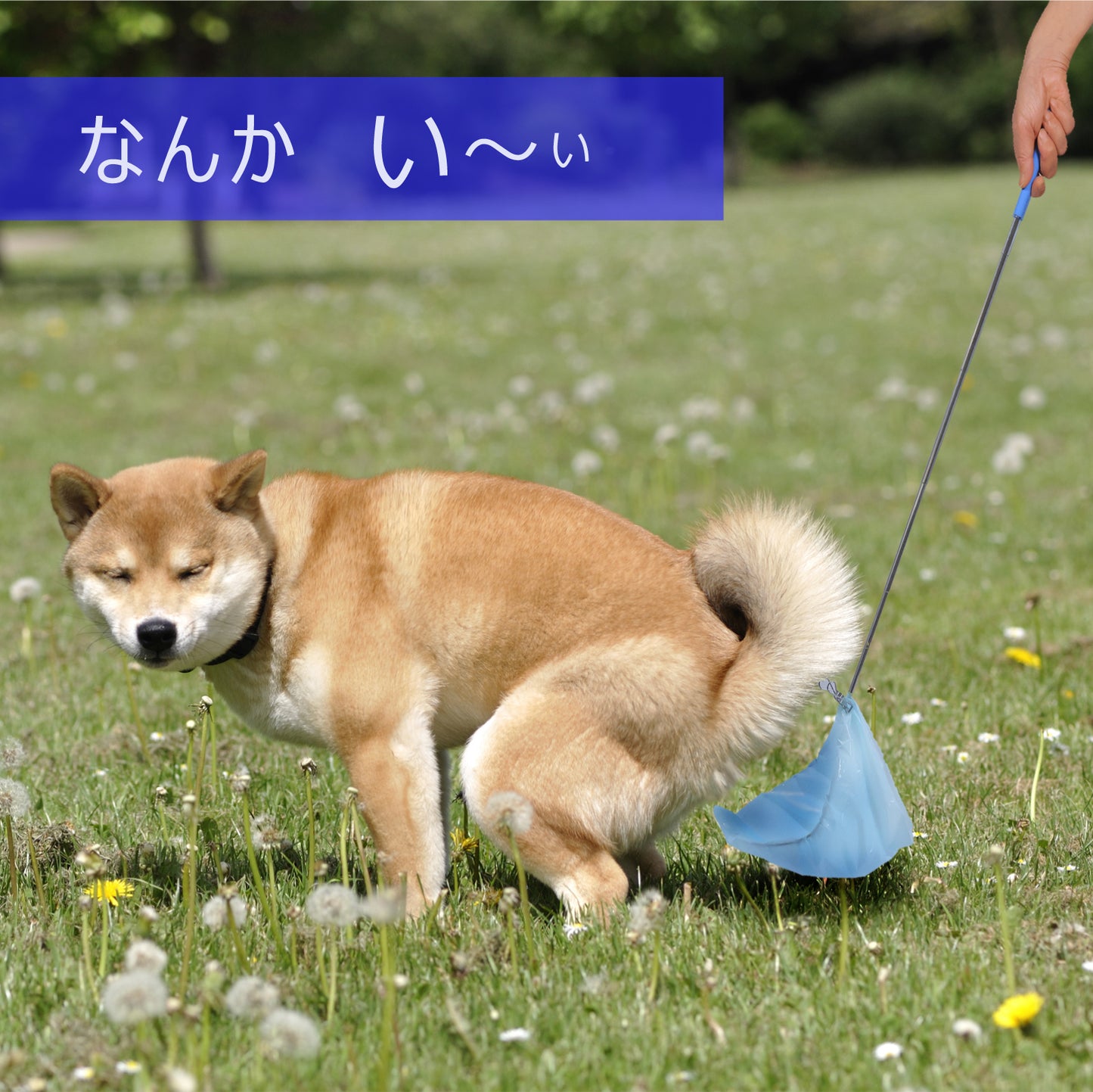 らふーんミニ 組み立てキット