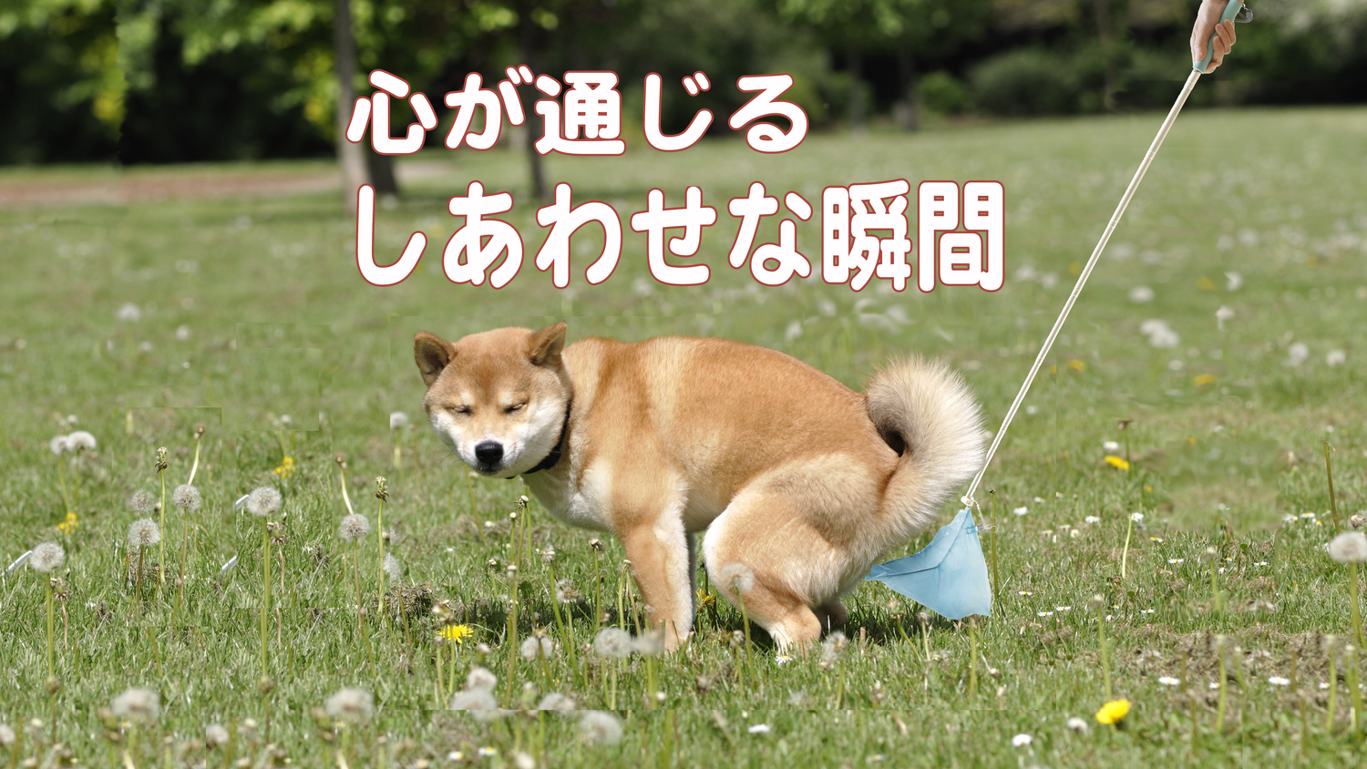 心が通じるしあわせな瞬間