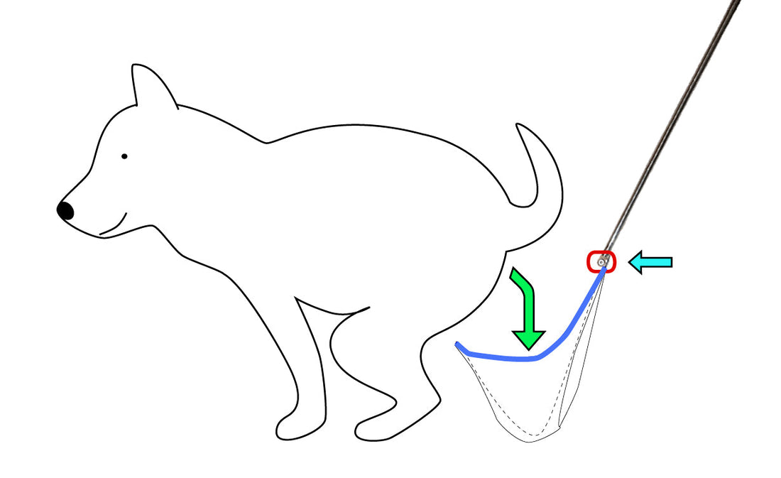 【犬の散歩の必需品】　はじめまして　立ったままでフンを受ける　ふんとり棒　”らふーん”　です。